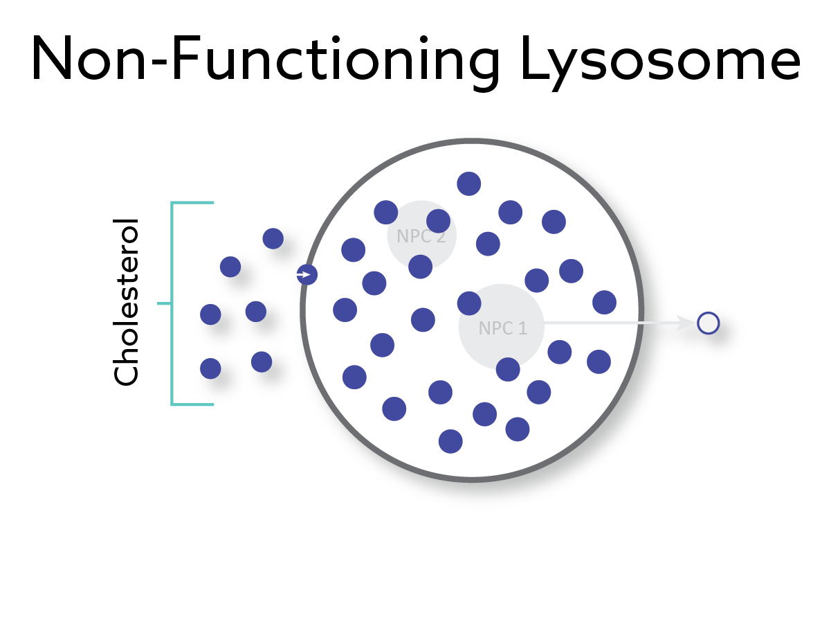 Niemann-Pick Disease Type C - cyclotherapeutics